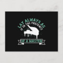 Recherche de clavier piano cartes postales Professeur de piano
