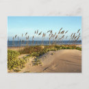 Recherche de dunes cartes postales Littoral