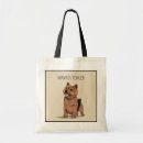 Recherche de terrier de norwich Mignon