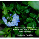 Recherche de fleur photo sculptures Flore