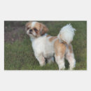Recherche de de tzu de shih autocollants Animal