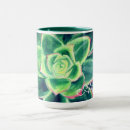 Recherche de succulent tasses Nom