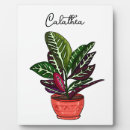 Recherche de dessins plaques Plante