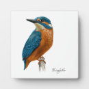 Recherche de pêcheur plaques Faune