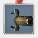 Recherche de sans ailes ornements Bleu
