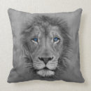 Recherche de lion le coussins Sauvage