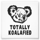 Recherche de koala drôle posters Mignon