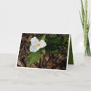 Recherche de écologiques vœux cartes Fleurs