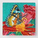 Recherche de papillons horloges Animal