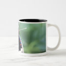 Recherche de préfecture tasses Jour