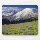 Recherche de prairie tapis souris Flore