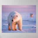 Recherche de 1002 posters Faune