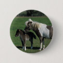 Recherche de jument badges Position