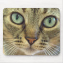 Recherche de visage tigre tapis souris Mignon