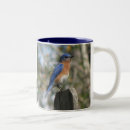 Recherche de oiseaux bleus orientaux tasses Animal