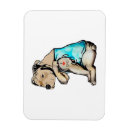 Recherche de pitbull magnete Famille