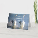 Recherche de danseurs célèbres cartes postales Danseuse