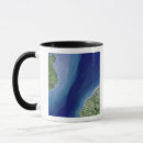 Recherche de la manche tasses France