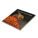 Recherche de abeille carreaux Abeilles et fleurs