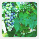 Recherche de merlot autocollants Cabernet