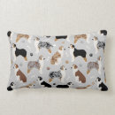 Recherche de australian shepherd coussins Aussie