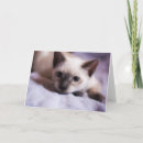 Recherche de observé vœux cartes Yeux