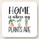 Recherche de plantes dessous de verres Toute personne