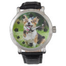 Recherche de animaux montres Photo du chat