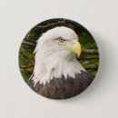 Recherche de amercian Faune