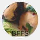 Recherche de cobaye autocollants Animaux