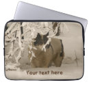 Recherche de zoo coques Hiver
