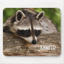 Recherche de racoon tapis souris Faune
