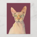Recherche de sphynx cartes postales Chauve