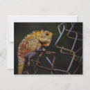 Recherche de orientales cartes postales Nature