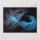 Recherche de brin cartes postales Adn