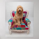 Recherche de photos vintages de chien posters Chiens