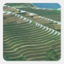 Recherche de terrassement autocollants Environnement