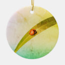 Recherche de dessin coccinelle maison décorations Nature