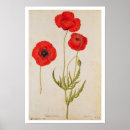 Recherche de moyne posters De
