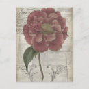 Recherche de cartouche posters Florales