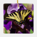 Recherche de iris ornements Jardin