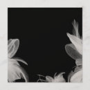 Recherche de plumes blanches invitations Élégant