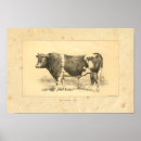 Recherche de guernesey posters Ferme