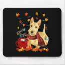 Recherche de balai tapis souris Terrier