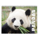 Recherche de panda bureau fournitures Ours