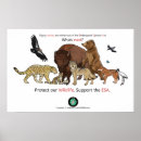 Recherche de dange art Espèce