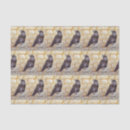 Recherche de halloween papier mousseline Oiseau