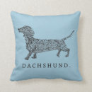 Recherche de tachetez Chien