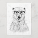 Recherche de ours noir cartes postales Portrait