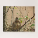 Recherche de cardinal puzzles Faune